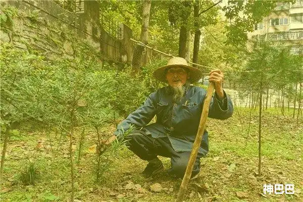 五行喜土的最佳配偶是什麼